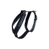 Kentucky Harness Active Velvet Dog Harness