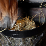 Kentucky Hay Bag Straight