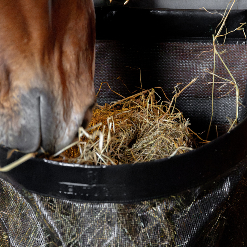 Kentucky Hay Bag Straight