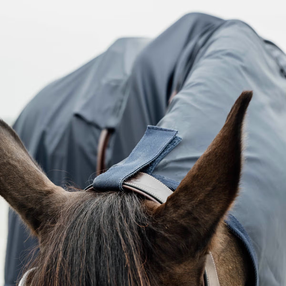 Kentucky Horse Raincoat Hurricane with holes for stirrup leather