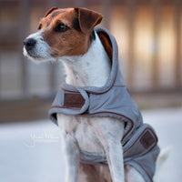 Kentucky Hundtäcke Reflective Water Repellent