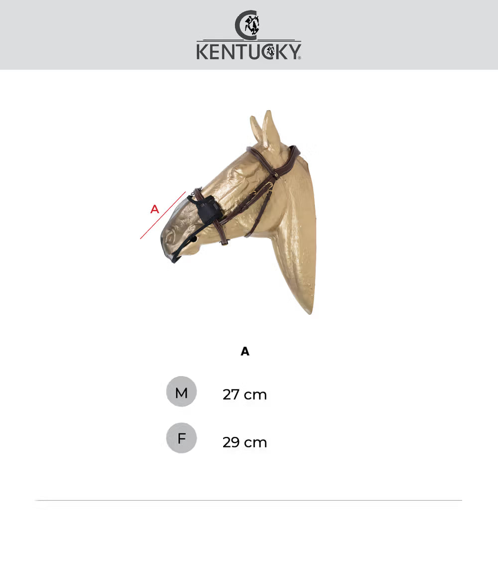 Kentucky  Anti Fly Nosnät
