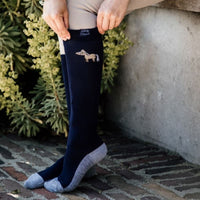 Kentucky Ridstrumpor Sammy