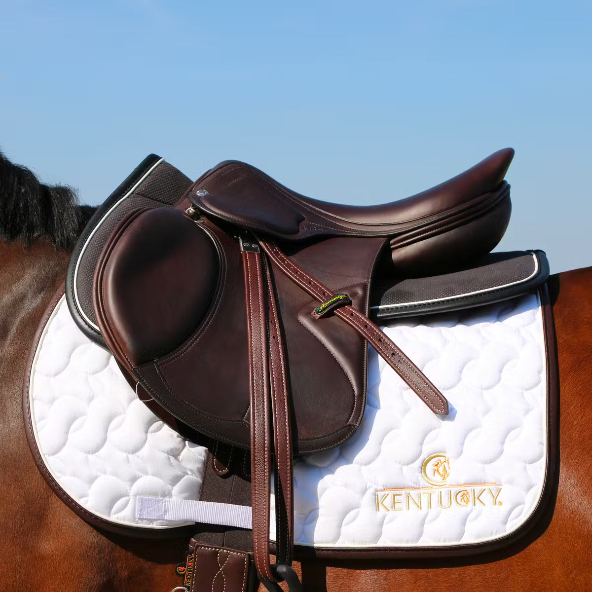 Kentucky Schabrak Leather Hopp