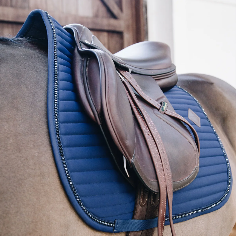 Kentucky Schabrak Pearls show hopp