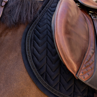 Kentucky Schabrak Velvet Mini Pearls Hopp