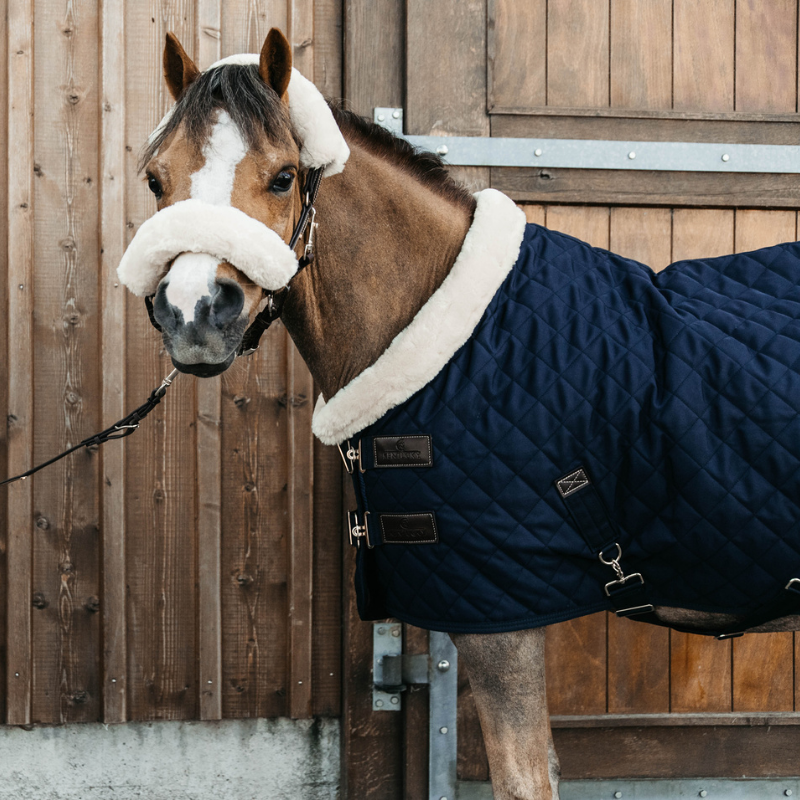 Kentucky Show Rug Ponny