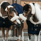 Kentucky Show Rug Ponny