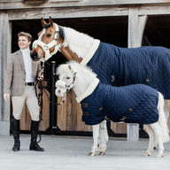 Kentucky Show Rug Pony