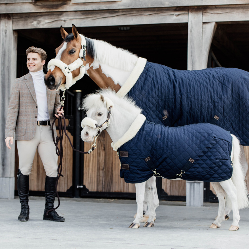 Kentucky Show Rug Ponny