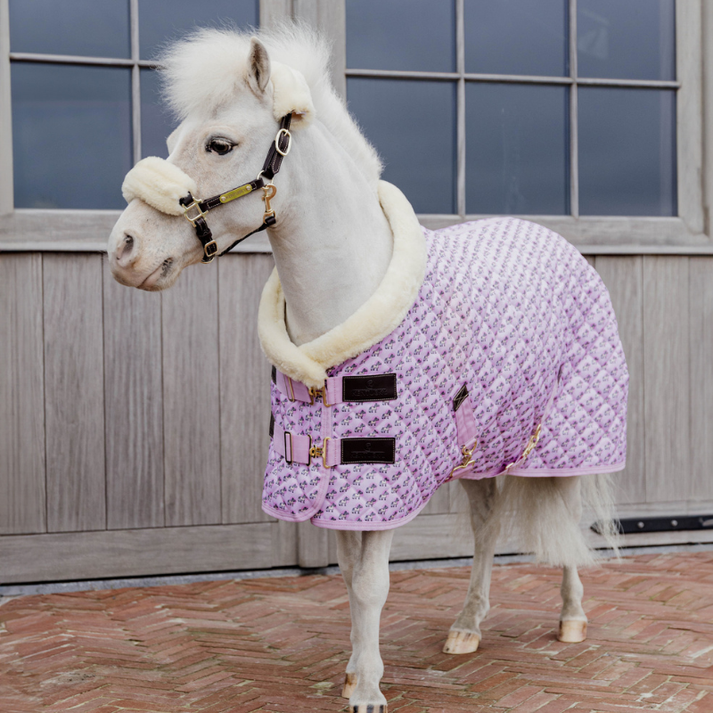 Kentucky Show Rug Sammy