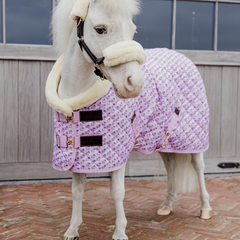 Kentucky Show Rug Sammy