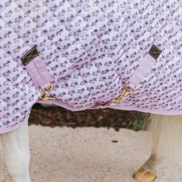 Kentucky Show Rug Sammy