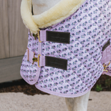 Kentucky Show Rug Sammy