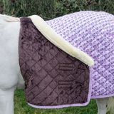 Kentucky Show Rug Sammy