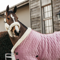 Kentucky Show Rug Velvet