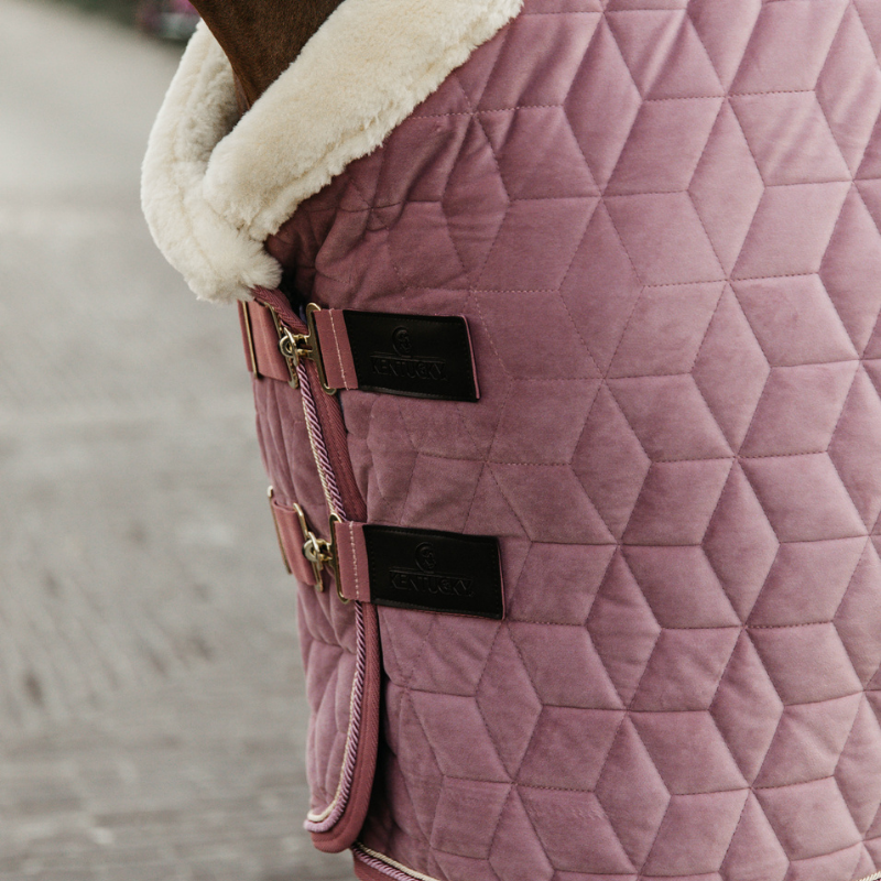 Kentucky Show Rug Velvet