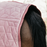 Kentucky Show Rug Velvet