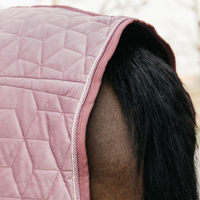 Kentucky Show Rug Velvet