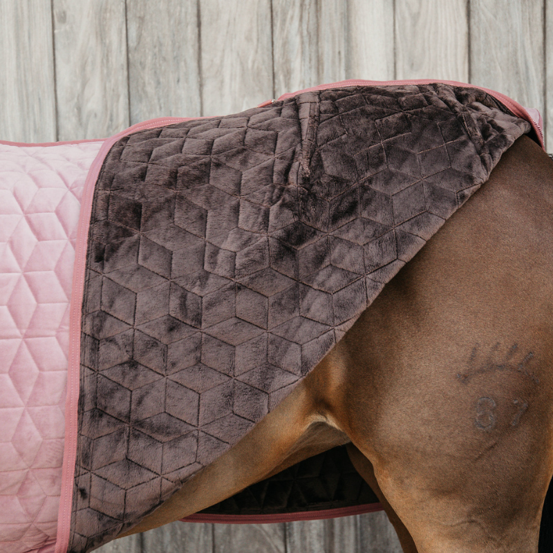 Kentucky Show Rug Velvet