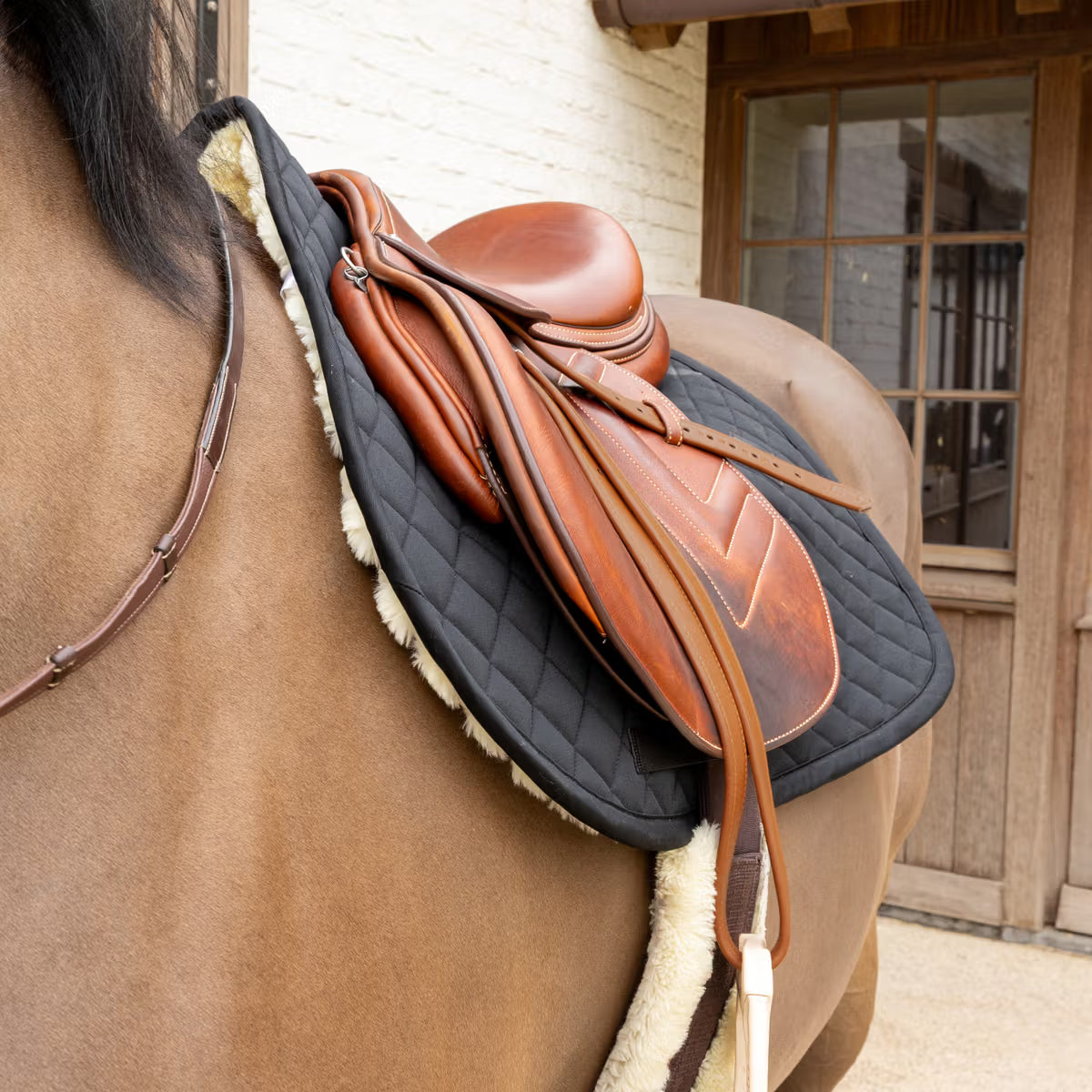 Kentucky Schabrak Skin Friendly Sheepskin Diamond Hopp