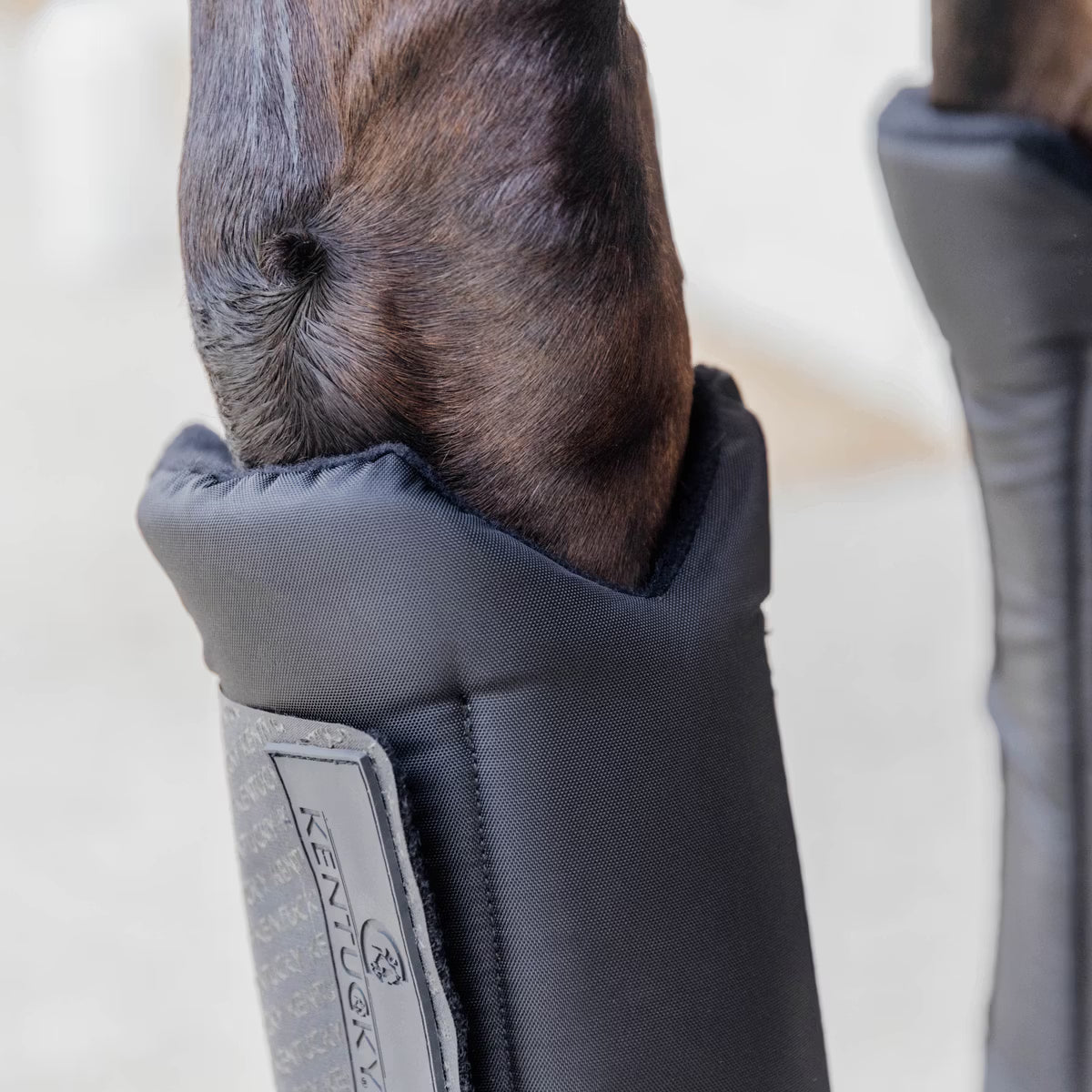 Kentucky Stableboots PROtect Classic Front