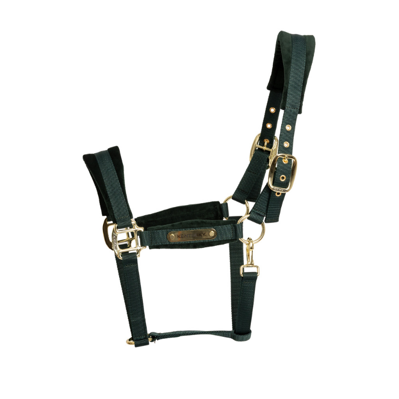 Kentucky Velvet Grimma