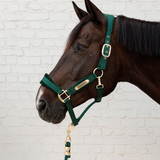 Kentucky Velvet Grimma