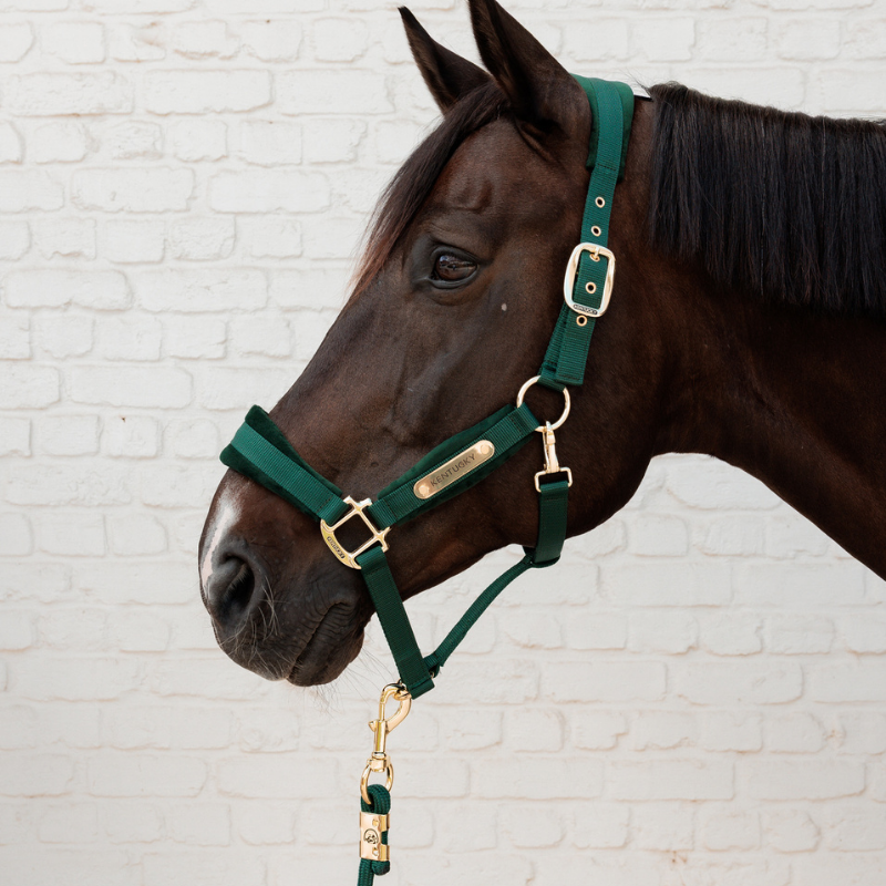 Kentucky Velvet Grimma