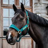 Kentucky Velvet Grimma