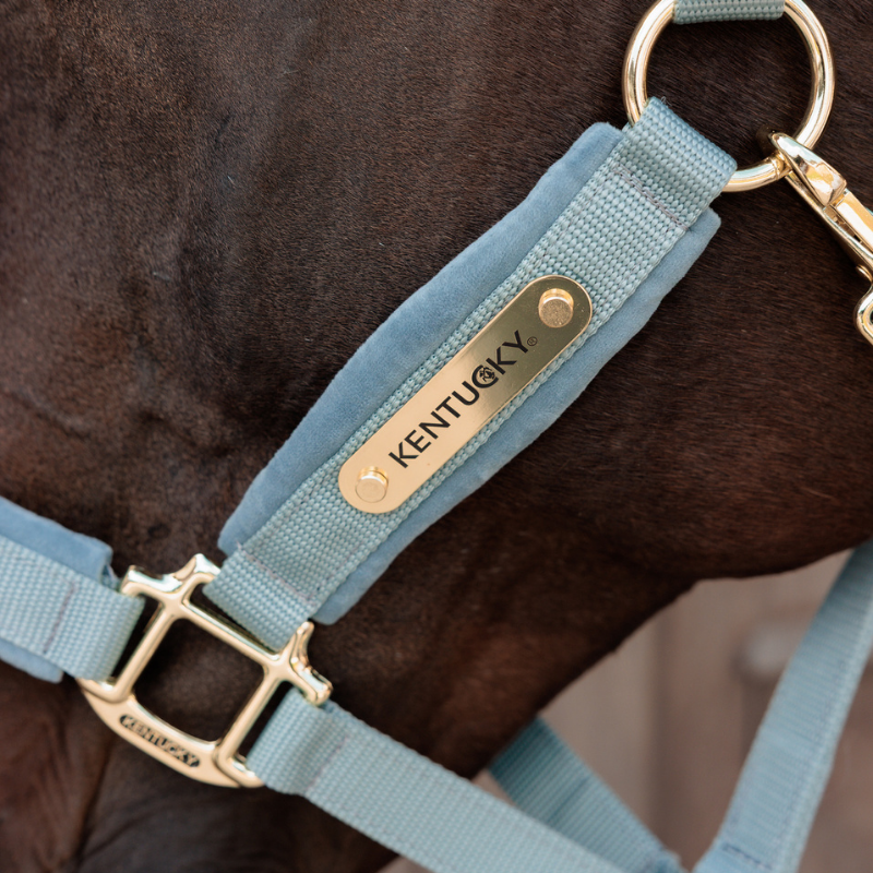 Kentucky Velvet Grimma