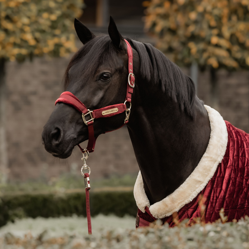 Kentucky Velvet Grimma