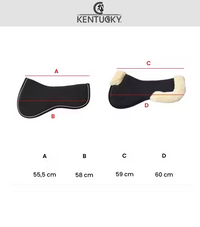 Kentucky Absorb anatomisk sadelpadd