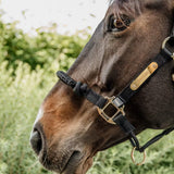 Kentucky Control Halter Nylon