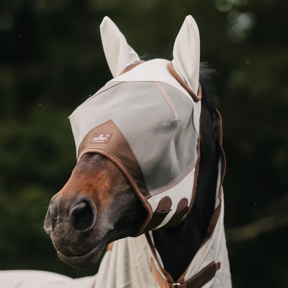 Kentucky Fly Mask Classic med Öron