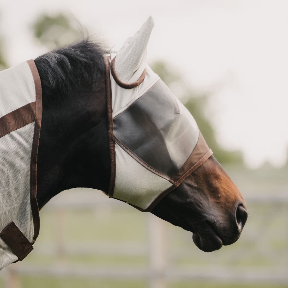 Kentucky Fly Mask Classic med Öron