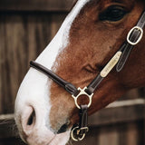 Kentucky Grooming grimma läder