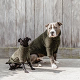 Kentucky Hundtäcke Sweater teddy