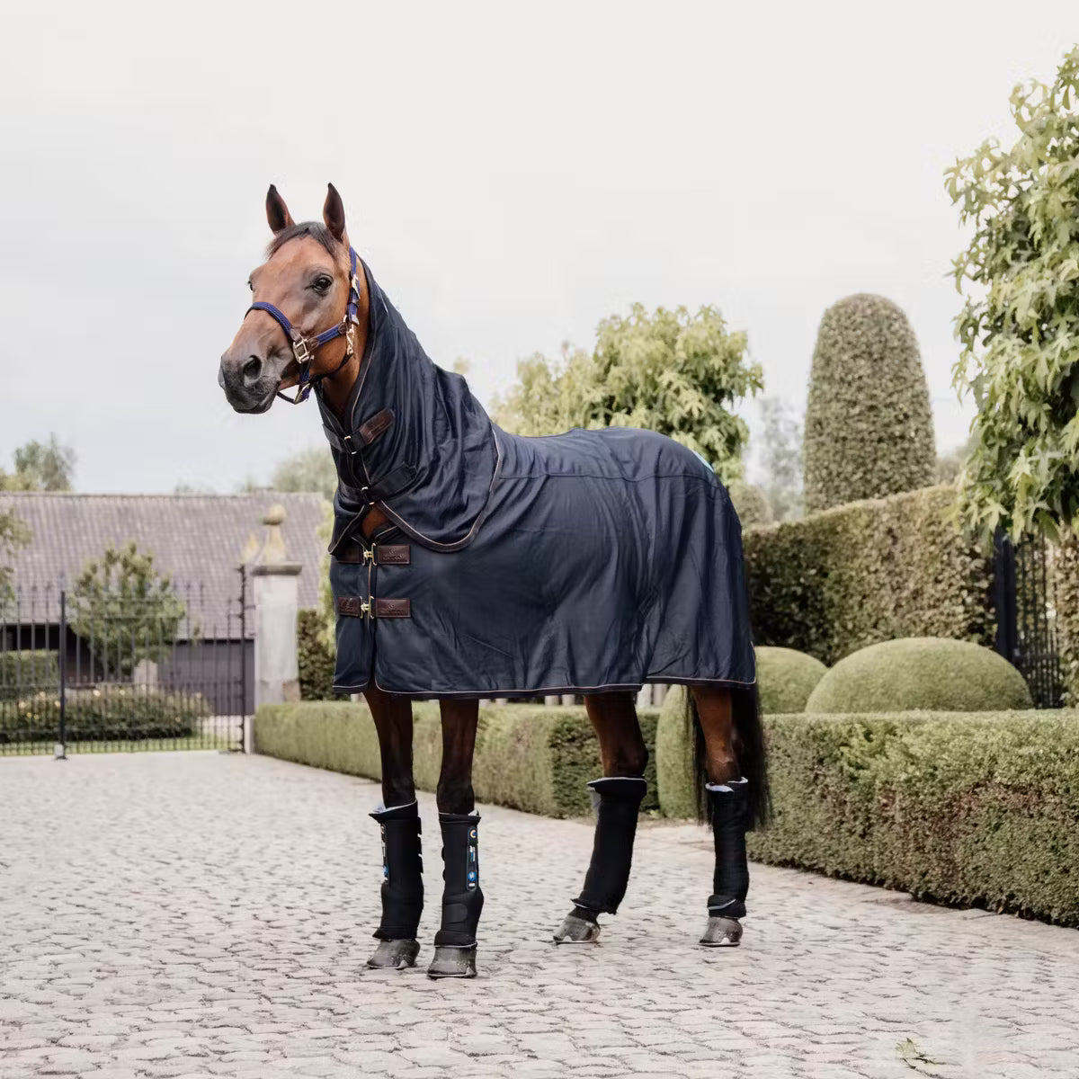 Kentucky Magnetic Rug Recuptex