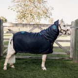 Kentucky Magnetic Rug Recuptex