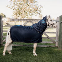 Kentucky Magnetic Rug Recuptex