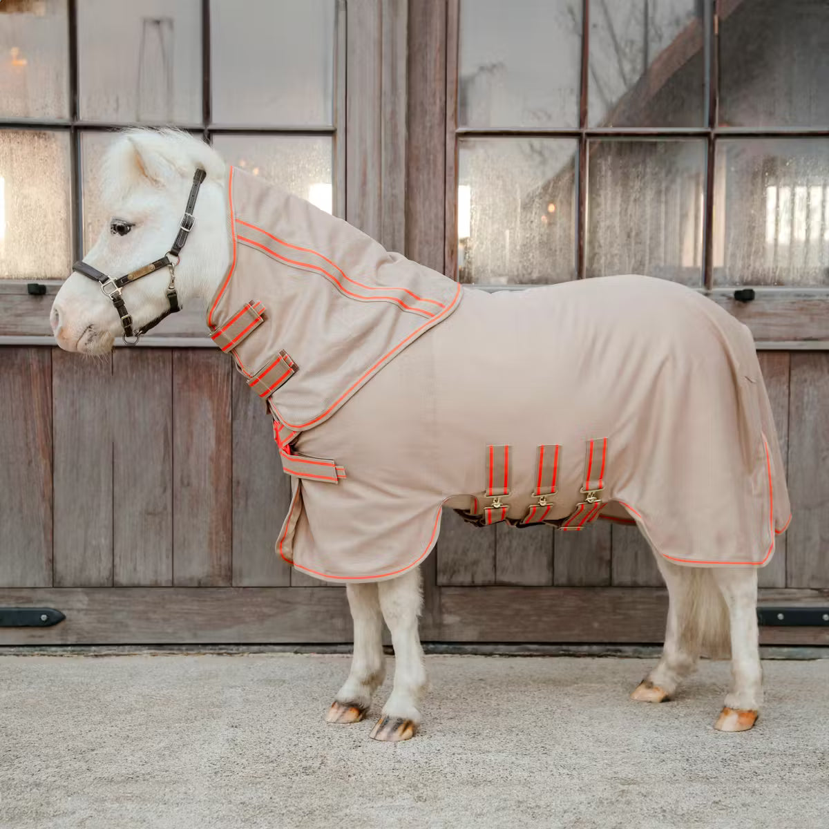 Kentucky Mesh Fly Rug Comfort