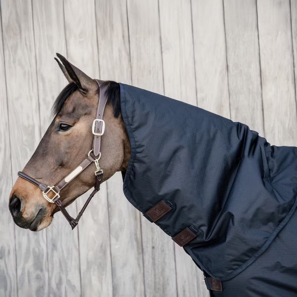 Kentucky Neck All weather Waterproof Classic 150g