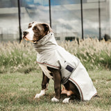 Kentucky Raincoat Dog 