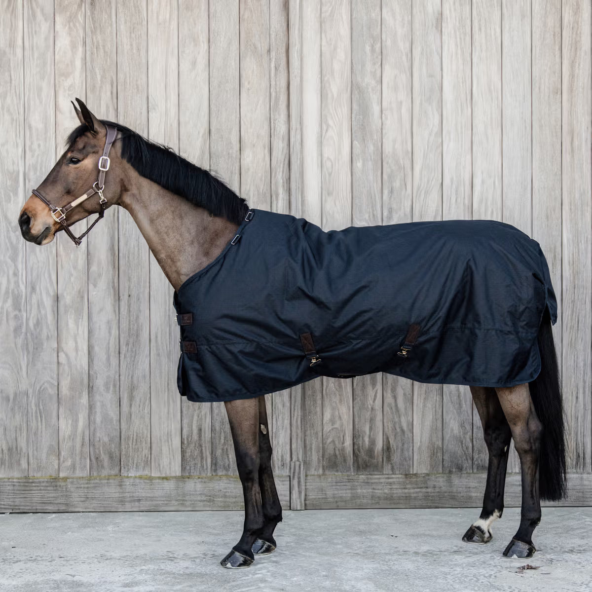 Kentucky Turnout Rug All weather Waterproof Classic 50g