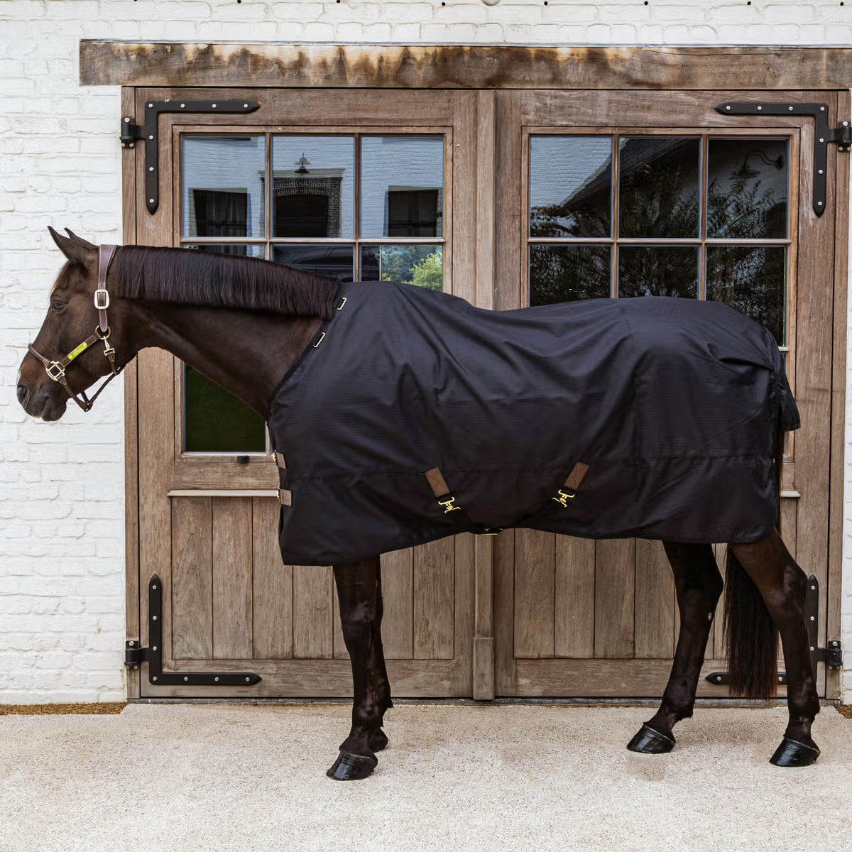 Kentucky Turnout Rug All weather Waterproof Classic 50g
