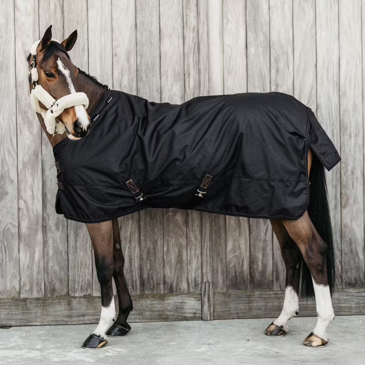 Kentucky Turnout rug all weather waterproof pro 160g