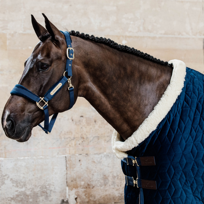 Kentucky Velvet Grimma