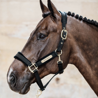 Kentucky Velvet Grimma