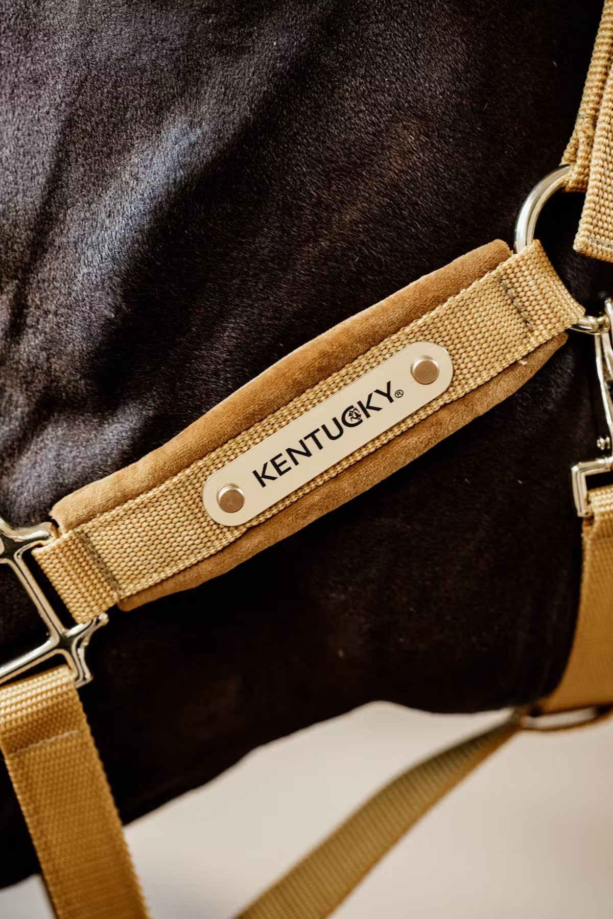 Kentucky Velvet Grimma